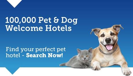 Pet friendly hotels, b&b & accommodation